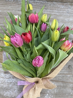 Tulips Bouquet 2 Dozen